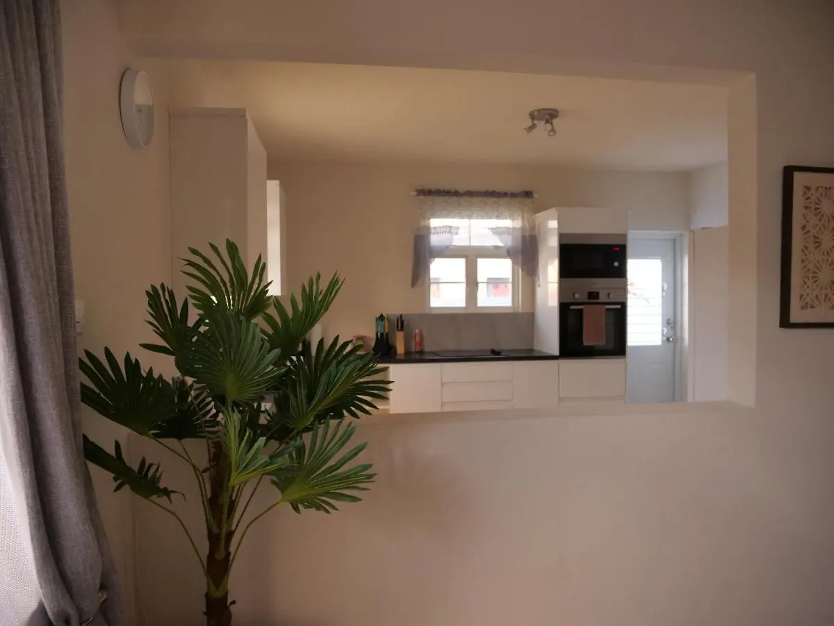 Wild Flower Boutique Apartments Christ Church