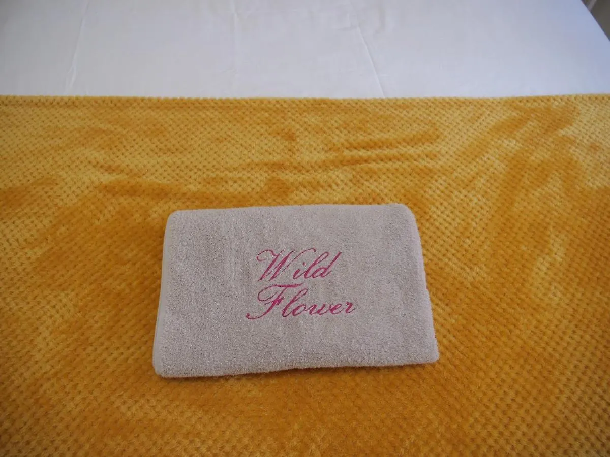 Wild Flower Boutique Apartments Christ Church