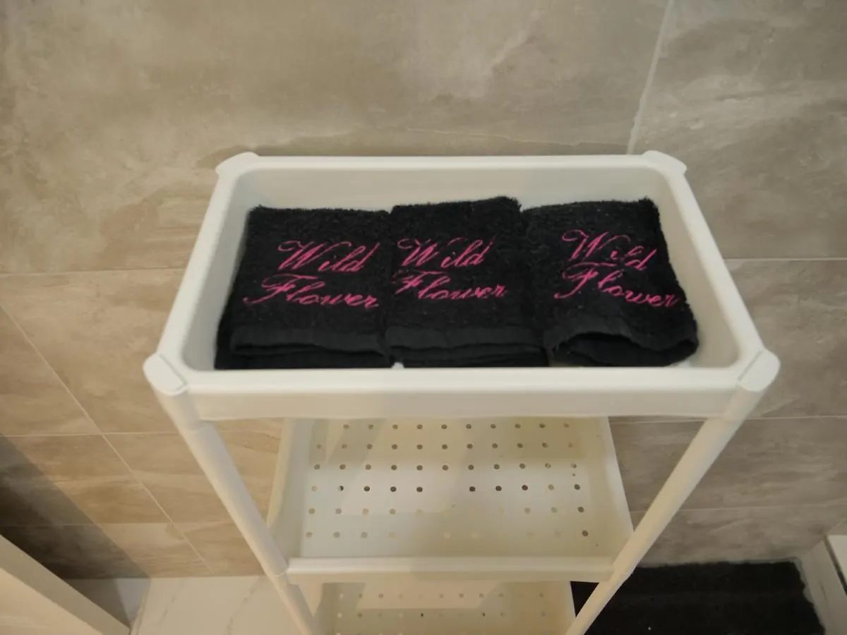 Wild Flower Boutique Apartments Christ Church